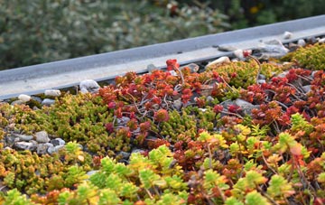 the cost of Feniscliffe green roof installation