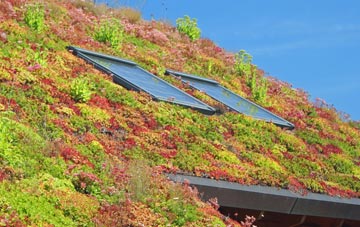 Feniscliffe living roof systems