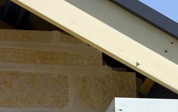 soffit repair Feniscliffe